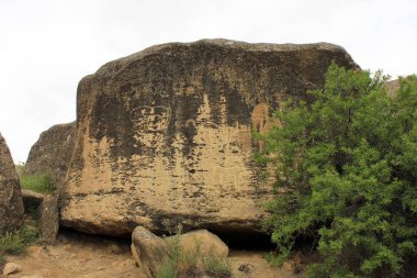 Azerbaycan. 05.15.2017 Gobustan bölgesinde antik taş resimler.