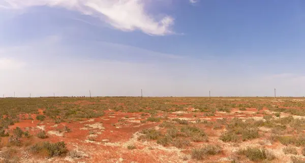 Ovadaki güzel kırmızı çimenler. Shirvan Ulusal Bankası. Azerbaycan.