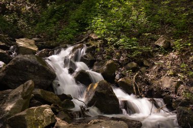 Güzel bir ormanda küçük temiz bir nehir..
