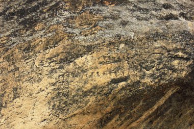 Azerbaycan. 05.15.2017 Gobustan bölgesinde antik taş resimler.