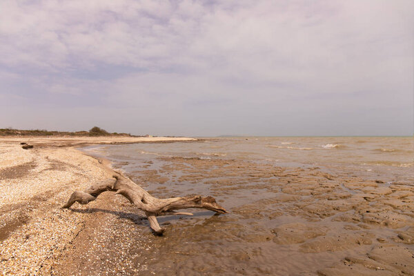 Дикое побережье Каспийского моря со снарядами. Азербайджан.