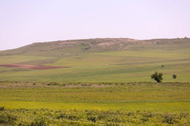 Ağaçlı yeşil alan. Ismayilli bölgesi. Azerbaycan.