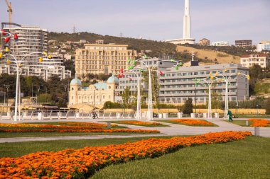 Bakü. Azerbaycan. 04.26.2021. Bailovo bölgesindeki yeni bulvarda çiçekler..