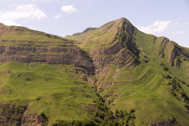 Dağlarda güzel bir şelale. Laza köyü. Kusar bölgesi. Azerbaycan.