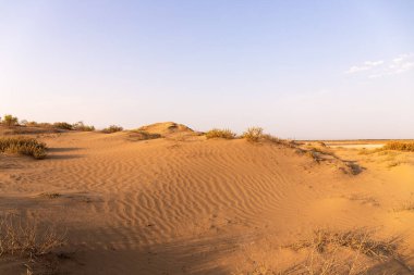 Güneşin doğuşunda Sandy Hills 'in güzel bir düzeni var. Azerbaycan.