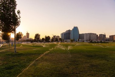 Bakü. Azerbaycan. 09.19.2921. Gün batımında bulvarın çimlerini sulamak..