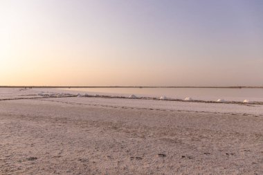 Tuz gölüne tuz dökmek. Neftchala. Azerbaycan.