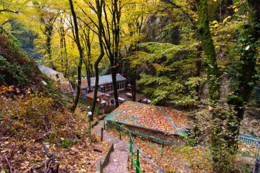 Ismayilli bölgesi. Azerbaycan. 31.10.2021. Ormanda, yedi güzel şelalenin yanında güzel bir kafe..