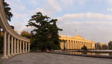 Kasaba. Kenevir. Azerbaycan. 10.18.2021 yıl. Şehir merkezindeki Heydar Aliyev Parkı 'nda büyük köknar ağaçları.