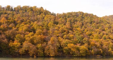 Dağda sonbahar ağaçları olan güzel bir göl. Nokhur Gölü. Gabala bölgesi. Azerbaycan.