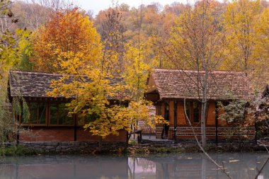 Gabala. Azerbaycan. 10.31.2021. Güz ormanında, gölün kıyısında bir restoran..
