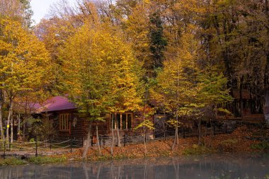 Gabala. Azerbaycan. 10.31.2021. Güz ormanında, gölün kıyısında bir restoran..