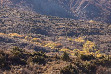 Yüksek dağlarda sonbahar sarı ormanı. Ismayilli bölgesi. Azerbaycan.