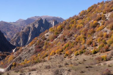 Yüksek dağlarda sonbahar sarı ormanı. Ismayilli bölgesi. Azerbaycan.