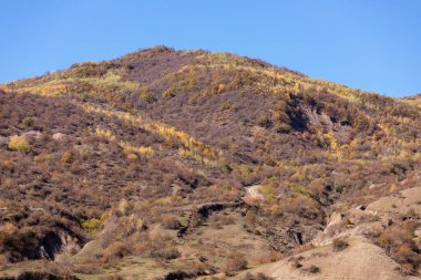 Yüksek dağlarda sonbahar sarı ormanı. Ismayilli bölgesi. Azerbaycan.