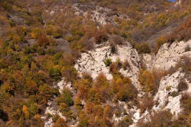 Yüksek dağlarda sonbahar sarı ormanı. Ismayilli bölgesi. Azerbaycan.