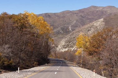 Yüksek dağlarda sonbahar sarı ormanı. Ismayilli bölgesi. Azerbaycan.