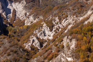 Yüksek dağlarda sonbahar sarı ormanı. Ismayilli bölgesi. Azerbaycan.