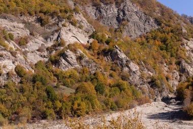 Yüksek dağlarda sonbahar sarı ormanı. Ismayilli bölgesi. Azerbaycan.