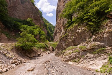 Güzel bir vadide, dağlık çamurlu bir nehir. Gubinsky bölgesi. Azerbaycan.