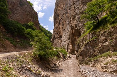 Güzel bir vadide, dağlık çamurlu bir nehir. Gubinsky bölgesi. Azerbaycan.