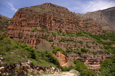 Yeşil ağaçlı güzel kırmızı dağ. Gubinsky bölgesi. Azerbaycan.