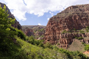 Yeşil ağaçlı güzel kırmızı dağ. Gubinsky bölgesi. Azerbaycan.