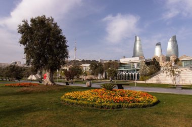 Bakü. Azerbaycan. 04.10.2023. Primorsky Bulvarı 'nda güzel çiçekler.