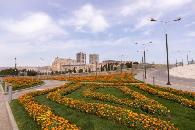 Bakü. Azerbaycan. 04.10.2022. Bayrak meydanının yanında güzel sarı çiçekler.
