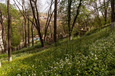 Guba şehri. Azerbaycan. 06.28.2023. Nizami Parkı 'ndaki nehre giden heykellerle dolu merdivenler..