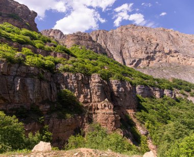Dağın tepesi yeşil ormanla kaplı. Gubinsky bölgesi. Azerbaycan.