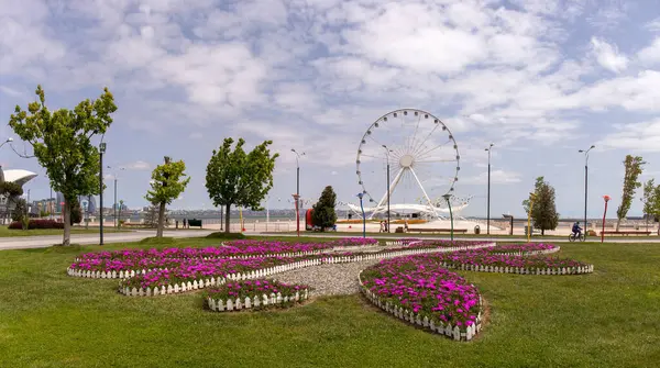 Bakü. Azerbaycan. 05.08.2022. Dönme dolabın yanındaki bulvarda kırmızı çiçekler..