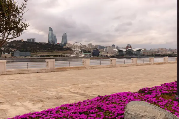 Bakü. Azerbaycan. 05.09.2022. Bakü Bulvarı kırmızı çiçeklerle süslenmiştir..