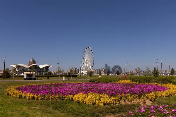 Bakü. Azerbaycan. 05.08.2022. Bulvardaki dönme dolabın yanında güzel kırmızı çiçekler..