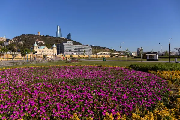 Bakü. Azerbaycan. 05.08.2022. Yeni şehir bulvarında güzel kırmızı çiçekler.