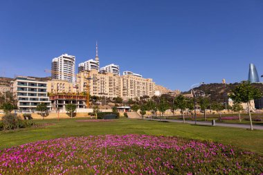 Bakü. Azerbaycan. 05.08.2022. Yeni şehir bulvarında güzel kırmızı çiçekler.