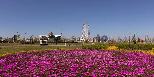 Bakü. Azerbaycan. 05.08.2022. Bulvardaki dönme dolabın yanında güzel kırmızı çiçekler..