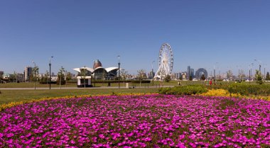 Bakü. Azerbaycan. 05.08.2022. Bulvardaki dönme dolabın yanında güzel kırmızı çiçekler..