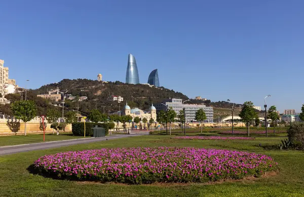 Bakü. Azerbaycan. 05.08.2022. Yeni şehir bulvarında güzel kırmızı çiçekler.