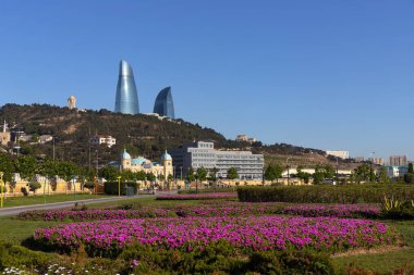 Bakü. Azerbaycan. 05.08.2022. Yeni şehir bulvarında güzel kırmızı çiçekler.