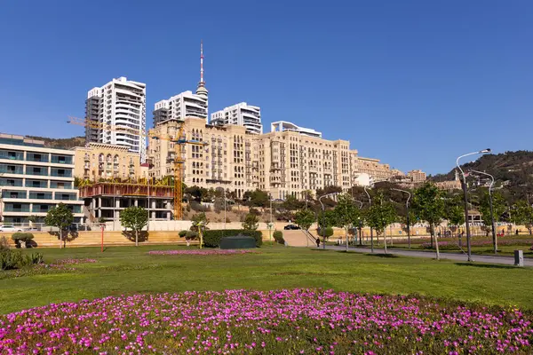 Bakü. Azerbaycan. 05.08.2022. Yeni şehir bulvarında güzel kırmızı çiçekler.