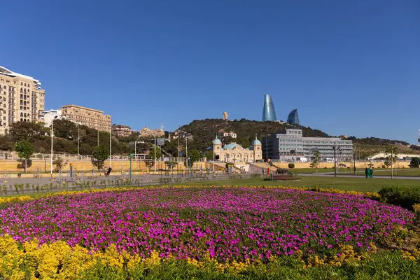 Bakü. Azerbaycan. 05.08.2022. Yeni şehir bulvarında güzel kırmızı çiçekler.