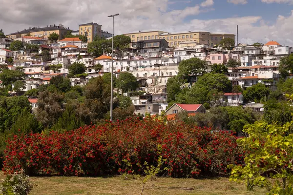 Bakü. Azerbaycan. 05.24.2022. Deniz kıyısındaki dağda küçük evler. Şangay.