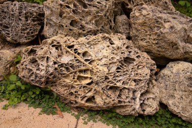 Yağmur ve rüzgardan etkilenen kireçtaşı kaya dokusu.