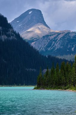 Green water of Sherbrooke Lake, Yoho National Park, BC beneath a backdrop of steep forested mountains, Yoho National Park, BC