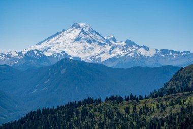 Mt. Baker 'ın buzullu kuzey yamacı yoğun orman dağları ve çayırlar üzerinde yükseliyor. Görüntü: Sarı Aster Butte bakış açısı, WA