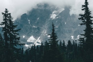 Shuksan Dağı 'nın batı cephesinin atmosferik görüntüsü alçak bulut ve ormanın içinde beliriyor..