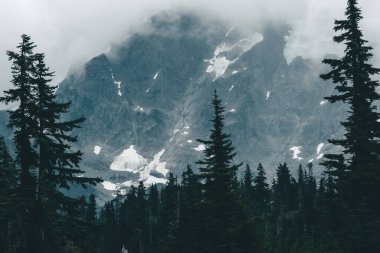 Atmospheric view of west face of Mount Shuksan, appearing through low cloud and forest. clipart