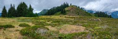 Excelsior Ridge boyunca uzanan dağlık çayır ve ağaçların panoramik manzarası bulutlu bir günde. Baker Dağı, WA.