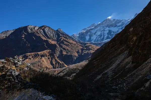 Güneş ışığı Nilgiri Kanyonu 'nu aydınlatmaya başladığında, Annapurna 1 (8.091 metre / 26.545 feet) güneydeki karların üzerine vurgu yapar.